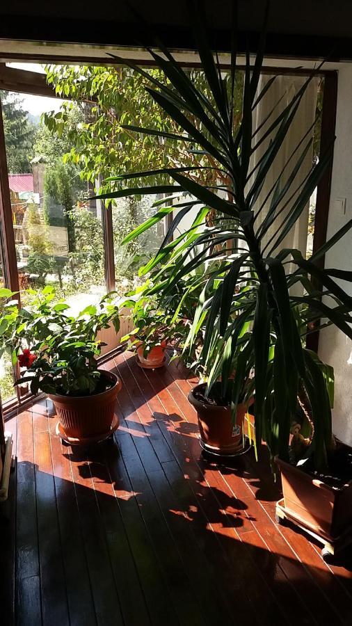 Vila Smaranda เปรดัล ภายนอก รูปภาพ